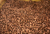 Fototapeta Młodzieżowe - O café brasileiro continua com tendencia de alta em várias bolsas no mundo. Incertezas sobre safra 2022 eleva a cotação do produto.