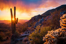 Scenic View Of Landscape And Saguaro Cactus Against Sky During Sunset In The Sonoran Desert