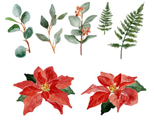 Wall Mural - watercolor christmas poinsettia flower bouquet elements collection