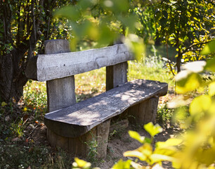 Authentic wooden bench in the city park. The bench is empty, no people. Sunny autumn weather, pacification, calmness, relaxation.