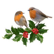 Two Robins On A Holly Branches