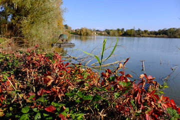 Wall Mural - 
paysage sur étang dombes ain automne