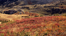 Beautiful Landscape Of Rocky Hills Covered With Flowers And Vegetation