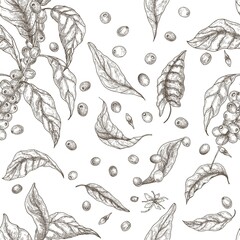 beautiful seamless pattern with coffea or coffee tree branches, leaves, blooming flowers and fruits 