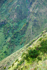 Wall Mural - green mountain landscape on the azores islands