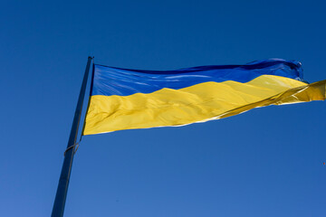 Blue and yellow flag of Ukraine on a flagpole in the park