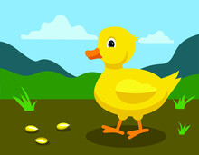 Cute Yellow Duck, Vector Illustration 