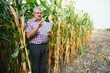 © Serhii - A farmer checks the tall corn crop before harvesting. Agronomist in the field