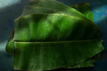 Wall Mural - Banana leaves 