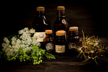 Poison Bottles, Hemlock Flowers And Burundanga Seeds