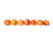 Leinwandbild Motiv Elstar Apfel Reihe freigestellt, 
Täglich ein Apfel
