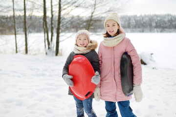 Wall Mural - Two funny young girls having fun with a sleigh in beautiful winter park. Cute children playing in a snow.