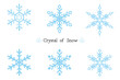 雪の結晶のベクターグラフィックのセット