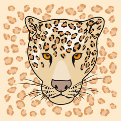 Poster - wild leopard head