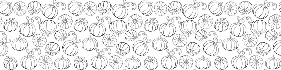 Wall Mural - Vector seamless pattern with outline pumpkins in doodle style. Halloween or thanksgiving background and texture