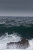 Fototapeta Łazienka - Storm Surf at Shipstern Bluff, Tasmania