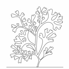 Wall Mural - seaweed drawing one continuous line vector