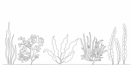 Wall Mural - seaweed sketch drawing one continuous line vector
