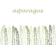 Template with growing sprouts of asparagus, vector illustration. Background with green asparagus pods, hand engraved. Vintage, food sketch.