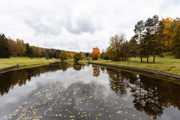 Wall Mural - beautiful autumn park at sunny weather