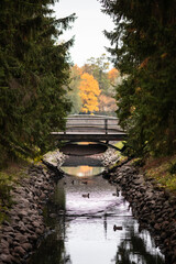 Wall Mural - beautiful autumn park at sunny weather