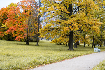 Wall Mural - view of russian park in the autumn evening