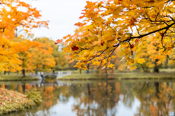 Wall Mural - beautiful autumn park at sunny weather