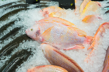 Wall Mural - Fresh fish on ice display in a supermarket.