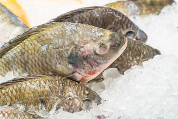 Wall Mural - Fresh fish on ice display in a supermarket.