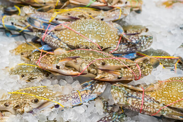 Wall Mural - Colorful crab on salt ice as raw ingredient for cooking that selling in the market