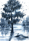 Fototapeta  - Indigo colored nautical painting with louisuana swamp, cypress tree and spanish moss. Hand drawn watercolor illustration.