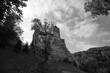 Bran's Castle (Dracula Castle)