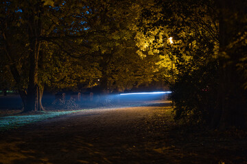  Radfahrer morgens Früh im dunkeln im Park an einem Herbsttag -  Leipzig,  Johanna Park (Clara-Zetkin-Park)