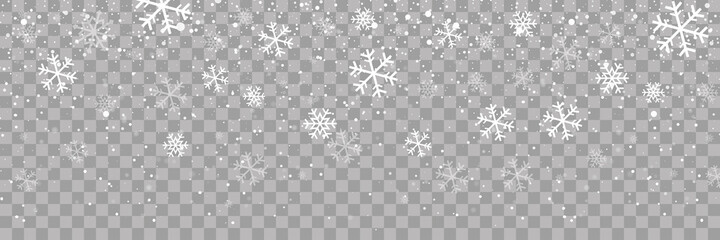 Snow falling. Snow. Efect falling snow. Realistic snow overlay background. Snowfall, snowflakes in different shapes and forms.