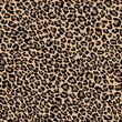 © keni - Seamless camouflage leopard skin. abstract background dark spots orange print for fabric and clothing. Vector illustration