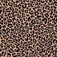 Leopard Pattern For Clothing Or Print. Wind Seamless Print