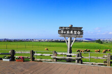 さっぽろ羊ヶ丘展望台から望む市街と羊, 日本,北海道,札幌市