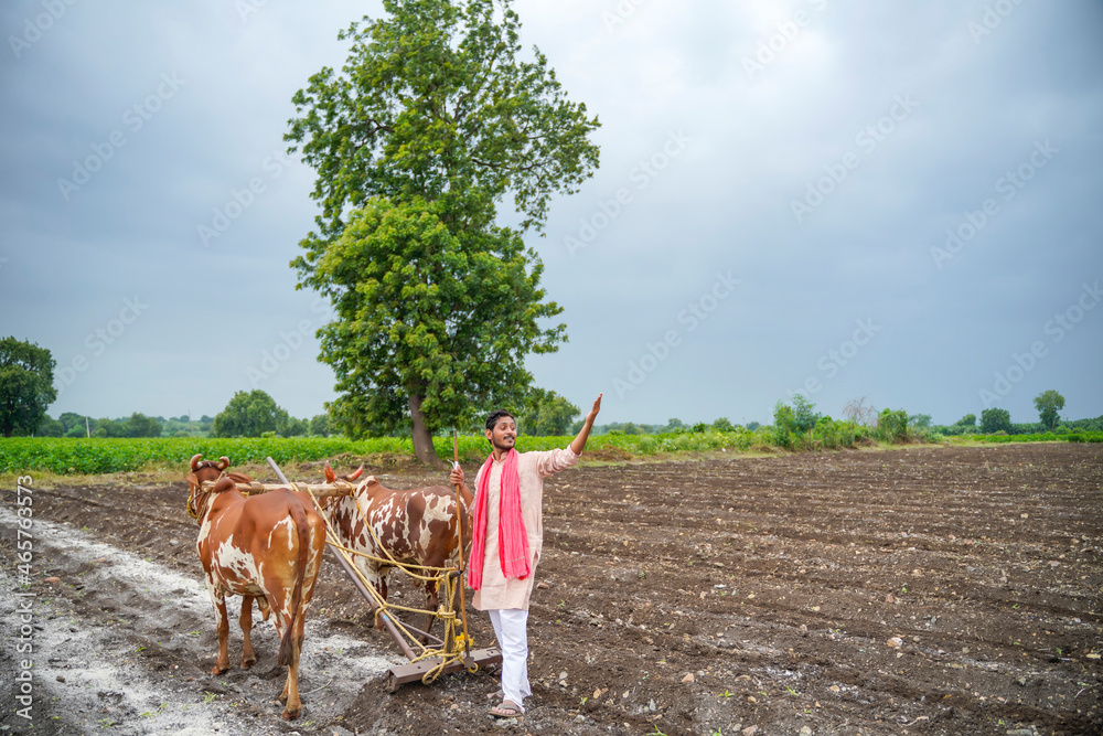 Indian farmer working with bull at his farm. Stock Photo | Adobe Stock