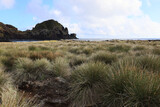 Fototapeta  - View of the coast near the town of Caletha, Sao Jorge island, Azores