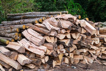 Fire wood ready to burn