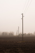 Electric Poles Foggy Day