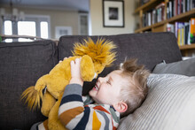 Cute Happy Toddler Boy Cuddling With Stuffed Lion On Living Room Sofa