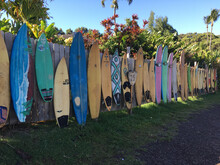 Row Of Surfboards Fence