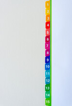Colorful Binder Dividers With Tabs