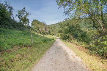 Poster - Narrow countryside path with sky on the background