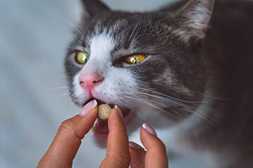 Wall Mural - Woman giving a pill to sick domestic cat. Medicine for pets. Vitamins for animals. Anthelmintic for pets.