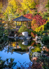 Wall Mural - A small pavilion at Japanes garden in Frederik Meijer gardens , Grand rapids, Michigan surrounded with Fall foliage