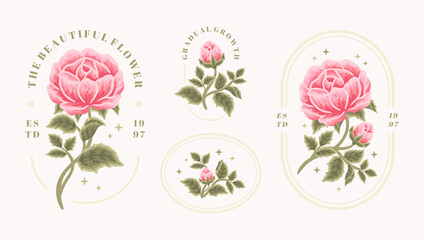 Set of vintage feminine beauty pink rose floral logo elements with frame