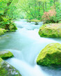 © amanaimages - 新緑の奥入瀬渓流とツツジ, 十和田市,青森県