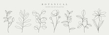 Botanical Arts. Hand Drawn Continuous Line Drawing Of Abstract Flower, Floral, Rose, Tropical Leaves, Spring And Autumn Leaf, Bouquet Of Olives. Vector Illustration.